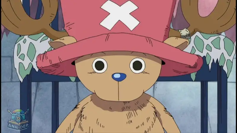 100 Ảnh Tony Tony Chopper Đáng Yêu Nhất Trong One Piece