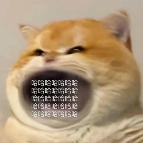 100 Ảnh Avatar Meme Hài Hước Nhất Cực Chất Để Giải Trí