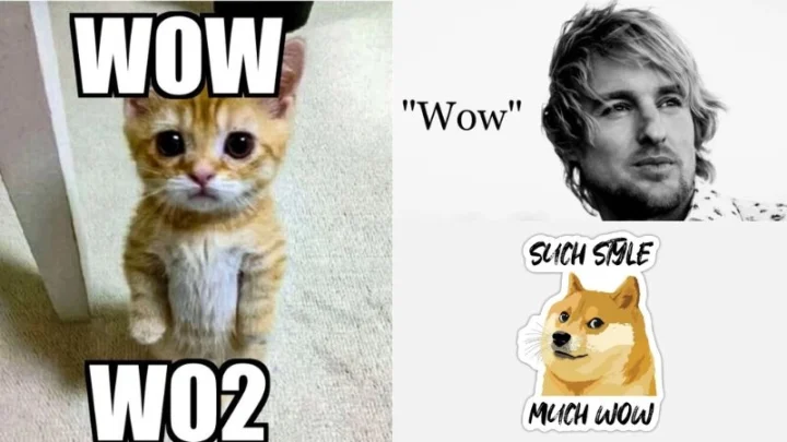 100 Ảnh Meme Wow Hài Hước Nhất Mạng Xã Hội Hiện Nay