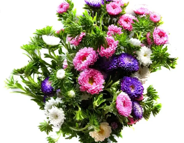 100 Ảnh Hoa Tặng Mẹ Đẹp Nhất, Ý Nghĩa Nhất Gửi Trọn Yêu Thương