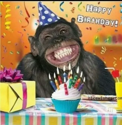100 Ảnh Happy Birthday Meme Hài Hước, Độc Đáo Gửi Lời Chúc Mừng