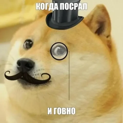100 Ảnh Meme Chó Hài Hước Nhất Thế Giới: Biểu Cảm Vô Giá Của Thú Cưng