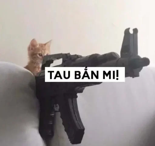 Meme mèo cầm súng hài hước dễ thương
