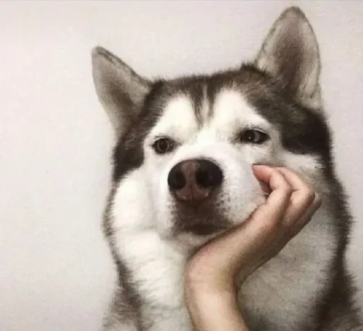 Meme suy nghĩ hài hước khiến ai cũng bật cười