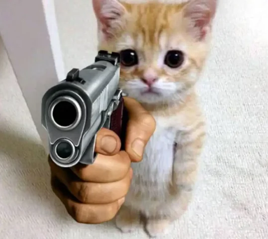 Meme bắn súng hài hước