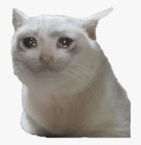 100 Ảnh Cat Crying Meme: Biểu Cảm Buồn Bã Đáng Yêu Hài Hước