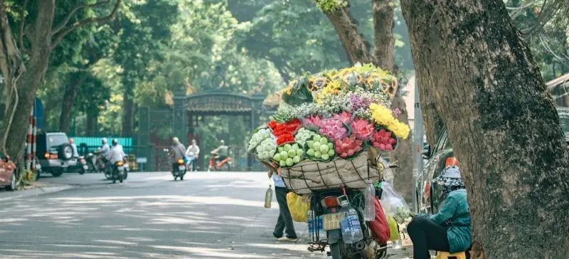 100 Ảnh Mùa Thu Hà Nội Đẹp Xao Xuyến Lòng Người Nhất