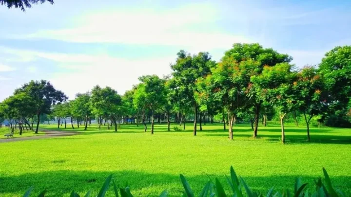 100 Ảnh Phong Cảnh Công Viên Quốc Gia Tuyệt Đẹp Khắp Thế Giới