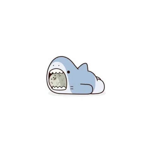 Avatar cá mập cute đáng yêu, làm nổi bật phong cách riêng