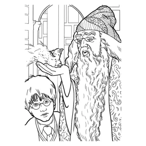 100 Ảnh tranh tô màu Harry Potter đẹp nhất cho bé phát triển sáng tạo